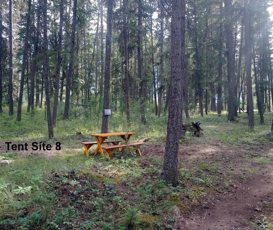 Tent Site 8