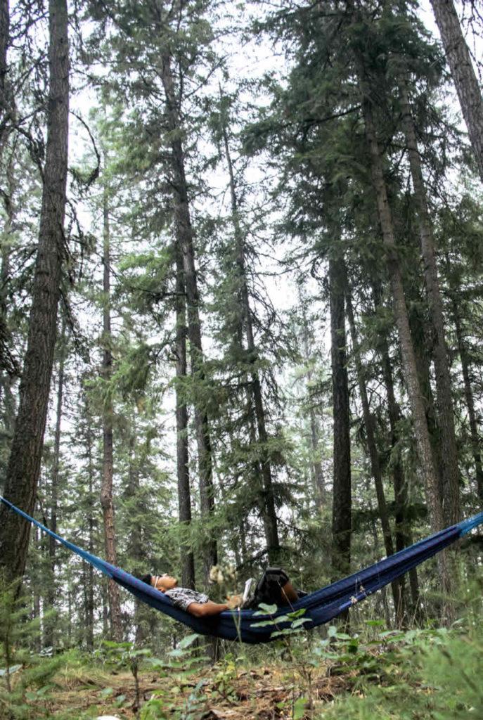 hammock in the woods