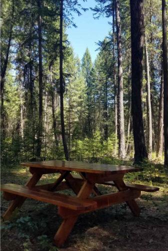Picnic Table Valhalla Pines, What Size Are Campground Picnic Tables