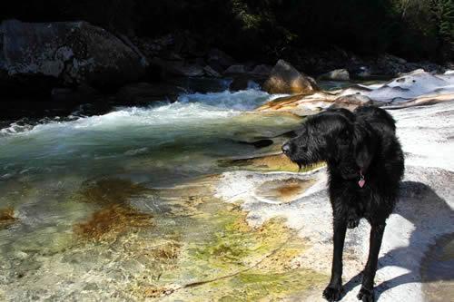 sasha on the river